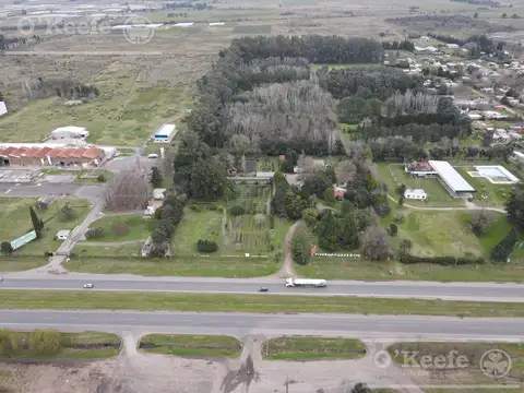 Chacra en venta 8,5 has Brandsen sobre ruta