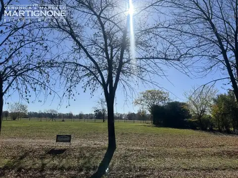 Terreno en Venta de 1117,0 m2