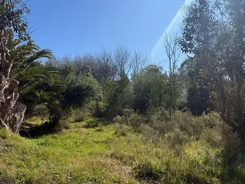 Venta  Chacra 4 has  Camino de las Tropas Toledo