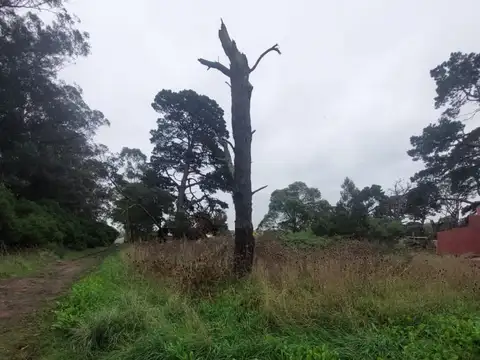 VENTA DE LOTE EN ZONA DE ALTO CRECIMIENTO, LOS ACANTILADOS