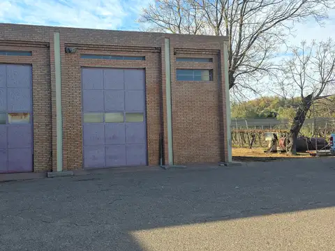 OPORTUNIDAD - BODEGA Y FINCA EN FUNCIONAMIENTO EN SAN RAFAEL