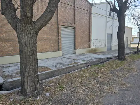 OPORTUNIDAD - BODEGA Y FINCA EN FUNCIONAMIENTO EN SAN RAFAEL