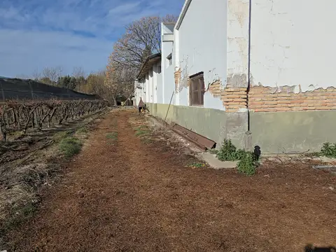 Galpon en Venta en San Rafael, USD 1.000.000