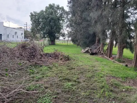 Terreno en Alquiler en Abasto, $ 500.000