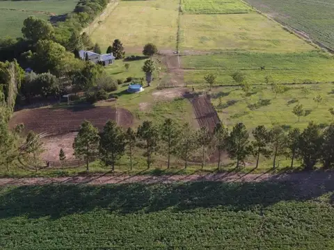 CHACRA 5 HAS LA CELINA