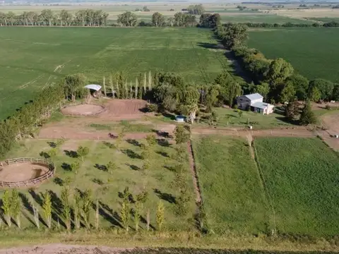 La Celina- San Pedro