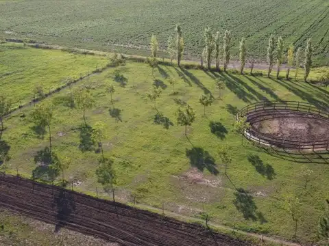 La Celina- San Pedro