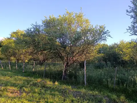 Villa de las Rosas, Traslasierra