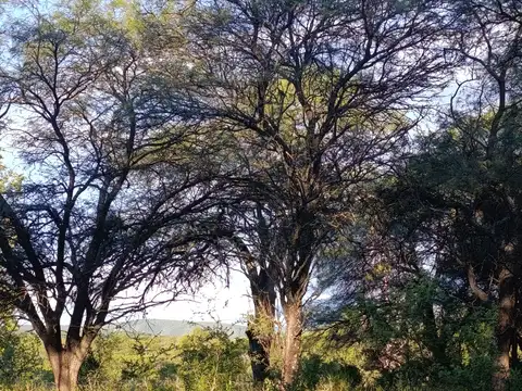 Terreno en Venta de 2400,0 m2