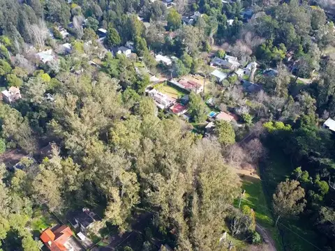 Mangore entre Calchaquies y Caroyas