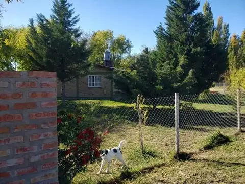 Lago Quillen  al 1500