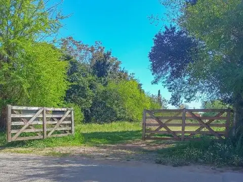 Miguel Aníbal Duffi y Matheu