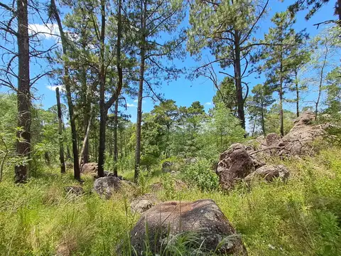 Fracción 17 hectáreas