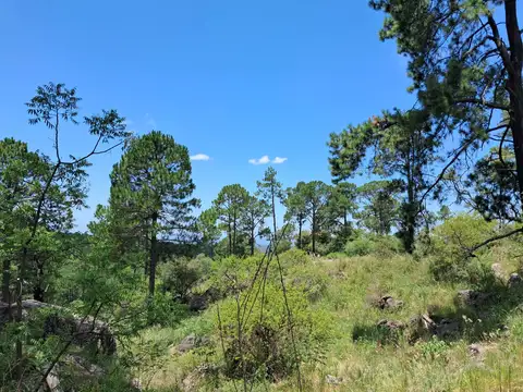 Fracción 17 hectáreas