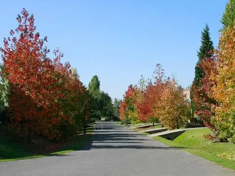 Pilar del Este, Lote en Venta