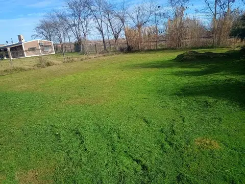 salta & comunidad vasca 100