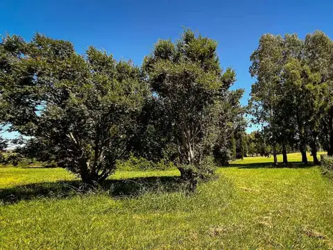 VENTA LOTE 1.357 M² BARRIO CERRADO LA MATA TANDIL