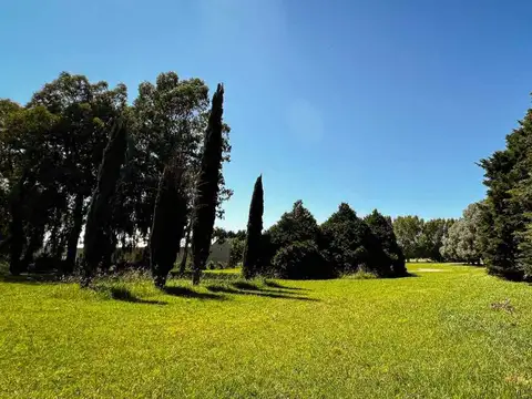 Calle Interna Lote 178 100