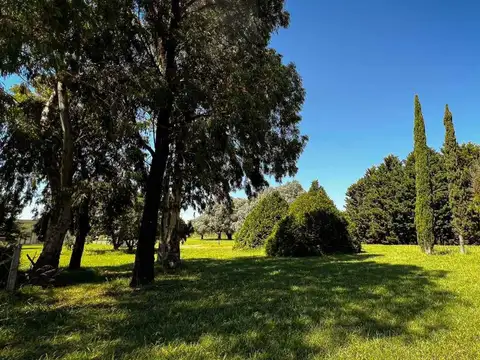 Calle Interna Lote 178 100