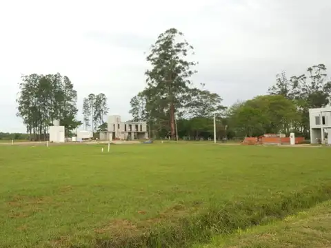 Terreno en Venta de 735,0 m2