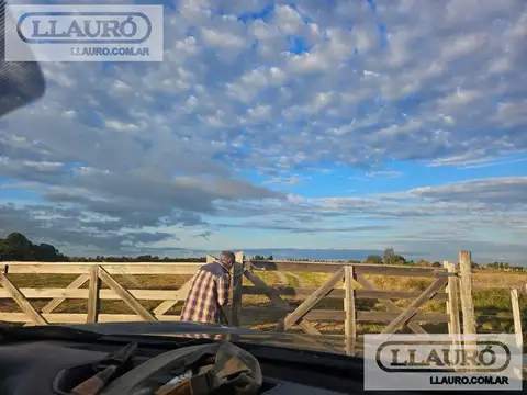 1 hectarea en venta en Colonia del Sacramento - Uruguay