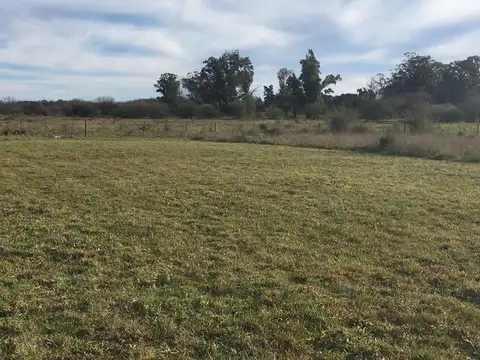 Terreno en venta - 1800mts2 - Arturo Seguí, La Plata