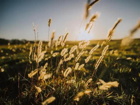 Terreno en Venta de 600,0 m2