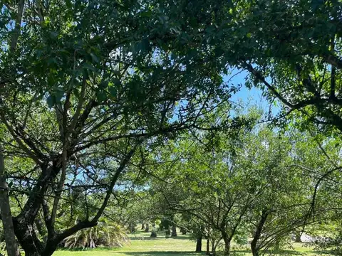 Lote de 1500 m2 fondo golf - Valle Del Golf