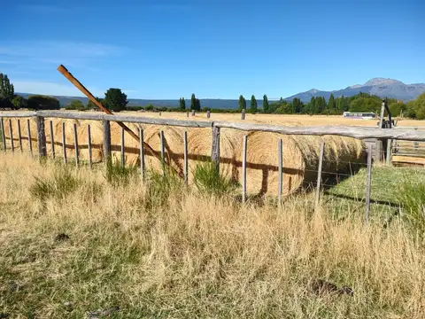 Venta Chacra de 15 Ha. en Trevelín