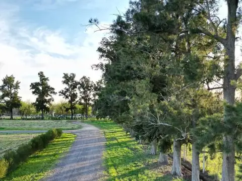 VENTA LOTE EN ARANA - BARRIO LOS PINARES  637 e/ 28 y 31