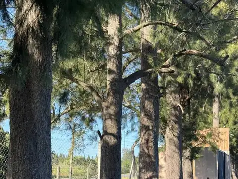 Terreno en Venta en Arana, USD 25.700