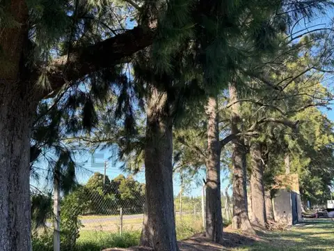 Terreno en Venta 25  mts Frente