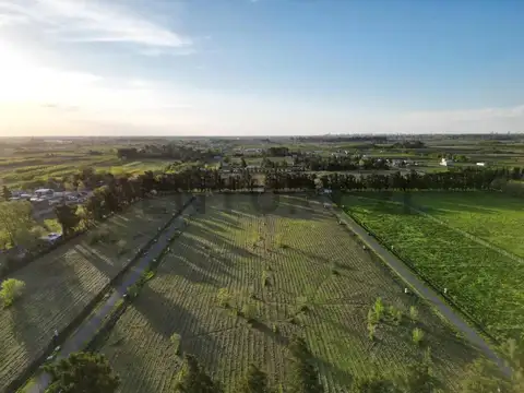 VENTA LOTE EN ARANA - BARRIO LOS PINARES  637 e/ 28 y 31