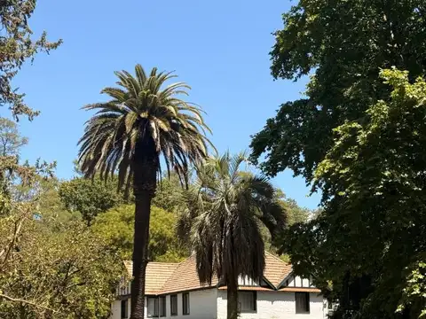 CHACRAS DE LA ALAMEDA