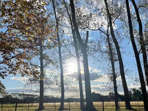 Terreno en Venta de 10140,0 m2