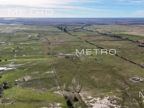 Florencio Parravicini 100, El Cazador