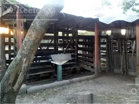 Campo Ganadero en Venta en Paraguay