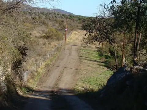 Terreno en Venta de 12000,0 m2