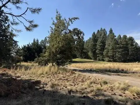 Atravesada de Taylor s/n , Piso 0