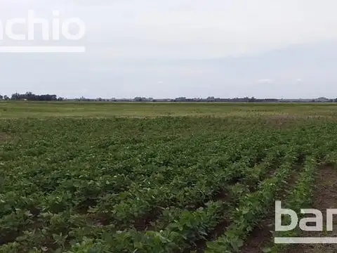 Campo - Villa Eloisa