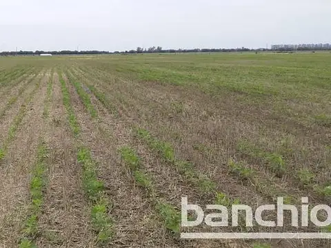 90 ha Mixtas Villa Eloísa