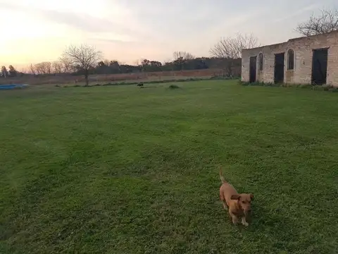 Campo en venta - 4 Dormitorios 3 Baños - Cochera - 52.421Mts2 - Mercedes