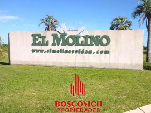 Lote en el molino