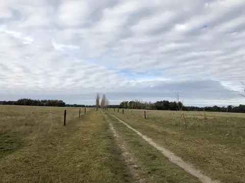 Campo en venta en Veronica