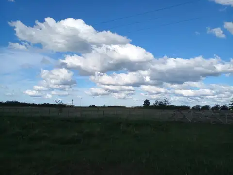 Campo en Venta de 2  ha