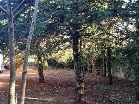 Terreno en Venta 48  mts Fondo