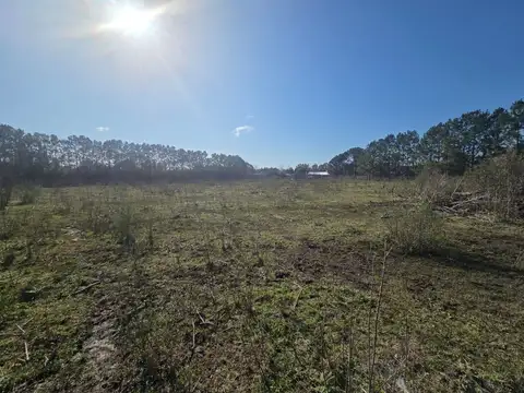 VENTA 2 TERRENOS EN 20 DE JUNIO