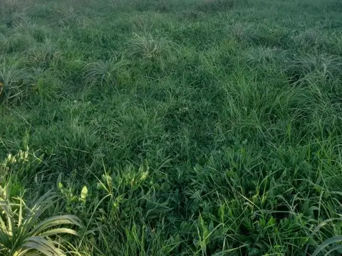 Terreno en Venta en La Lonja, USD 23.000