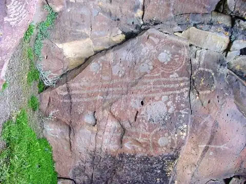 INMOBILIARIA COMODORO - Campo - Gobernador Gregores - Pesca - Producción