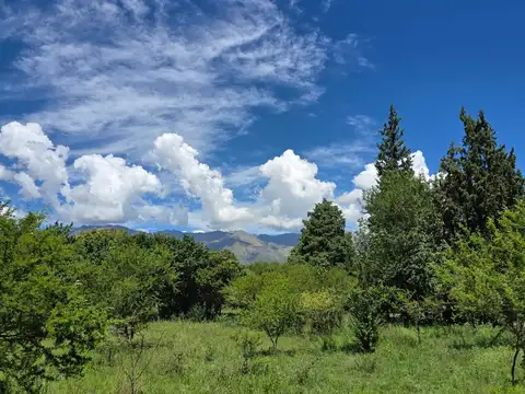 Terreno en Venta 84  mts Frente